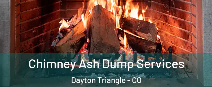 Chimney Ash Dump Services Dayton Triangle - CO