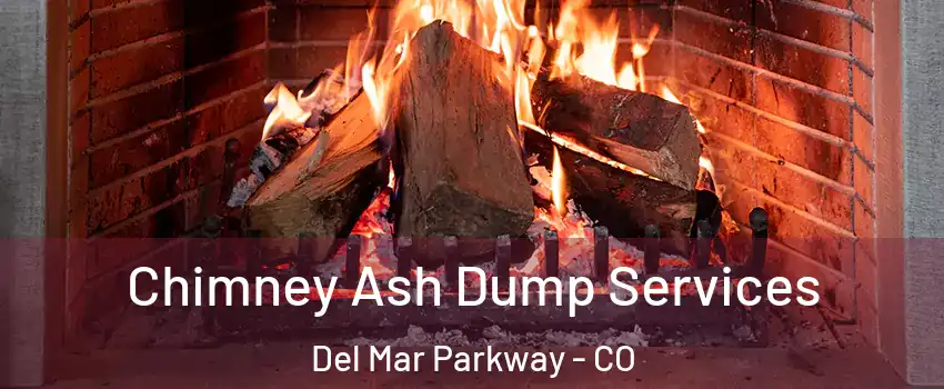 Chimney Ash Dump Services Del Mar Parkway - CO