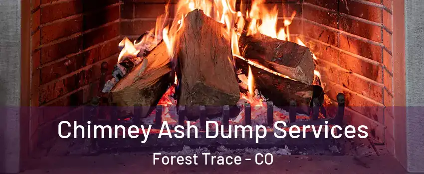 Chimney Ash Dump Services Forest Trace - CO