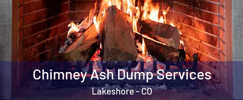 Chimney Ash Dump Services Lakeshore - CO