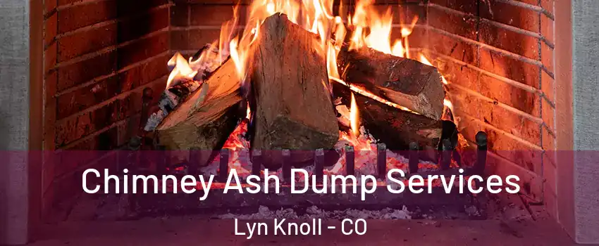 Chimney Ash Dump Services Lyn Knoll - CO