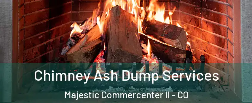 Chimney Ash Dump Services Majestic Commercenter II - CO