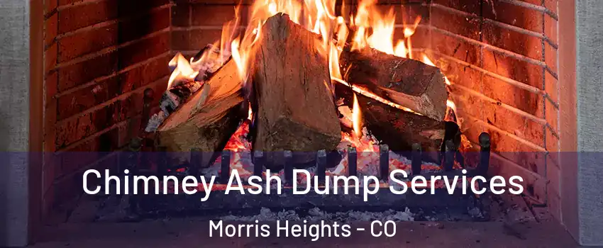 Chimney Ash Dump Services Morris Heights - CO