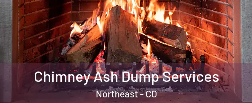 Chimney Ash Dump Services Northeast - CO