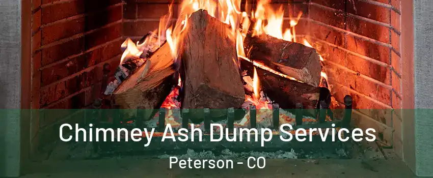 Chimney Ash Dump Services Peterson - CO