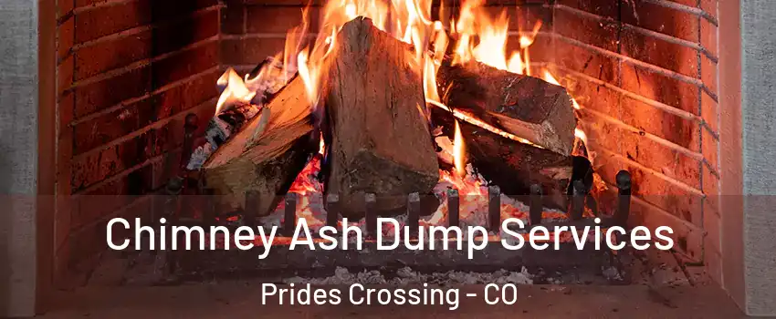 Chimney Ash Dump Services Prides Crossing - CO