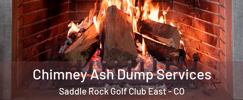 Chimney Ash Dump Services Saddle Rock Golf Club East - CO