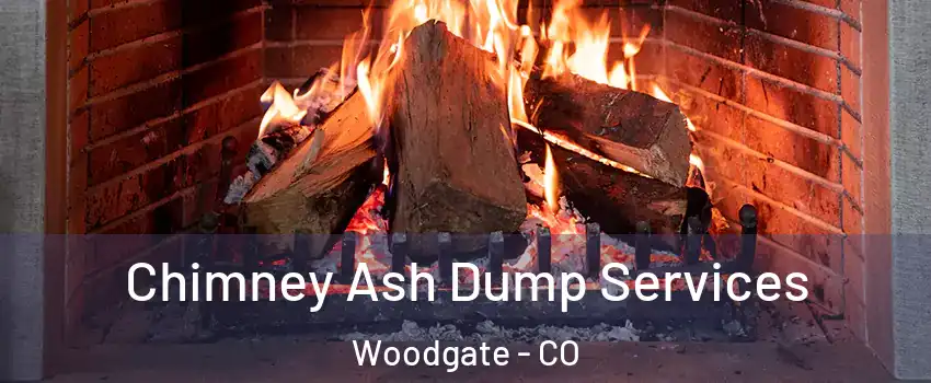 Chimney Ash Dump Services Woodgate - CO