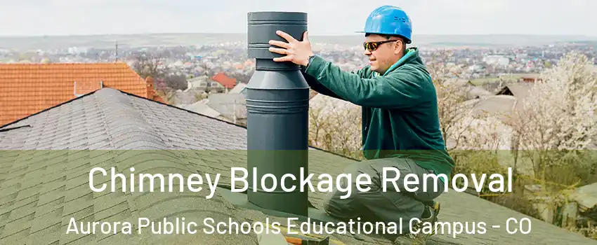 Chimney Blockage Removal Aurora Public Schools Educational Campus - CO