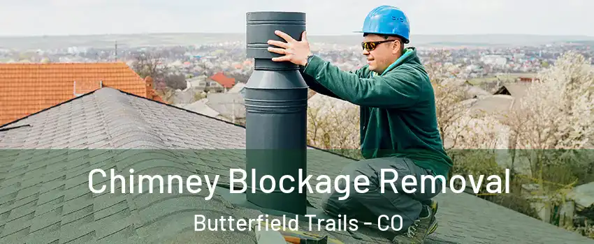 Chimney Blockage Removal Butterfield Trails - CO