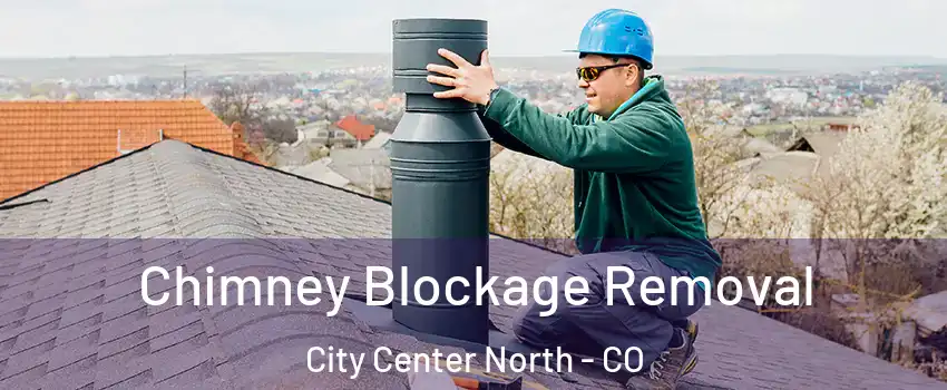 Chimney Blockage Removal City Center North - CO