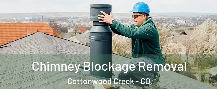 Chimney Blockage Removal Cottonwood Creek - CO