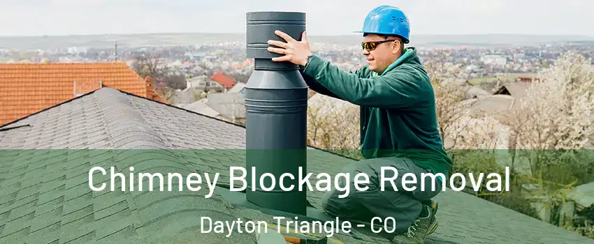 Chimney Blockage Removal Dayton Triangle - CO