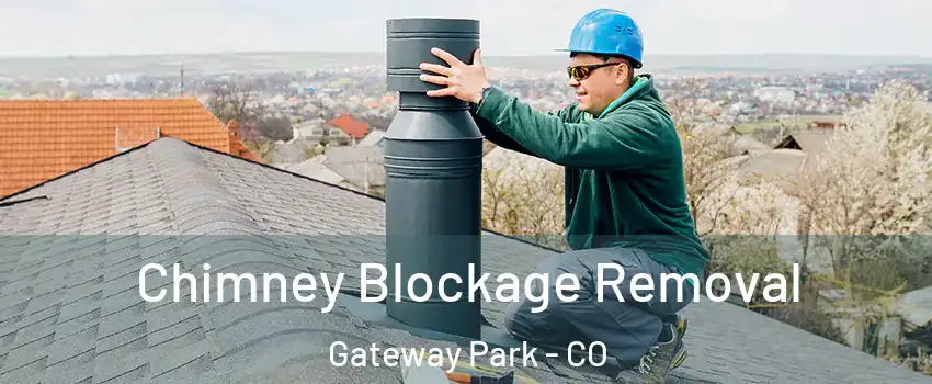 Chimney Blockage Removal Gateway Park - CO