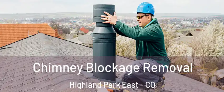 Chimney Blockage Removal Highland Park East - CO