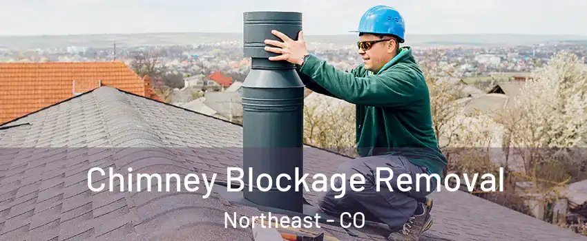 Chimney Blockage Removal Northeast - CO