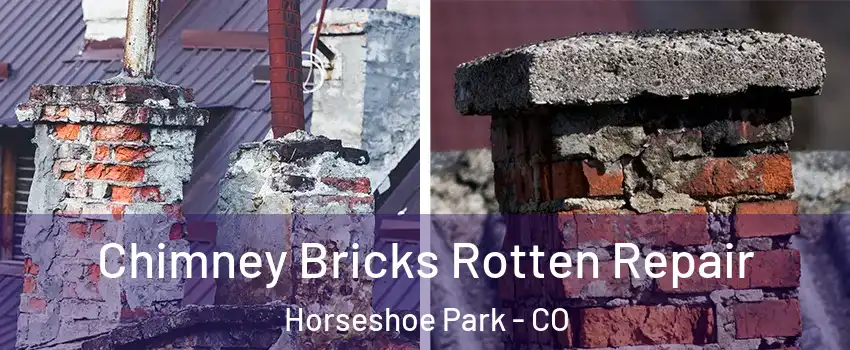 Chimney Bricks Rotten Repair Horseshoe Park - CO