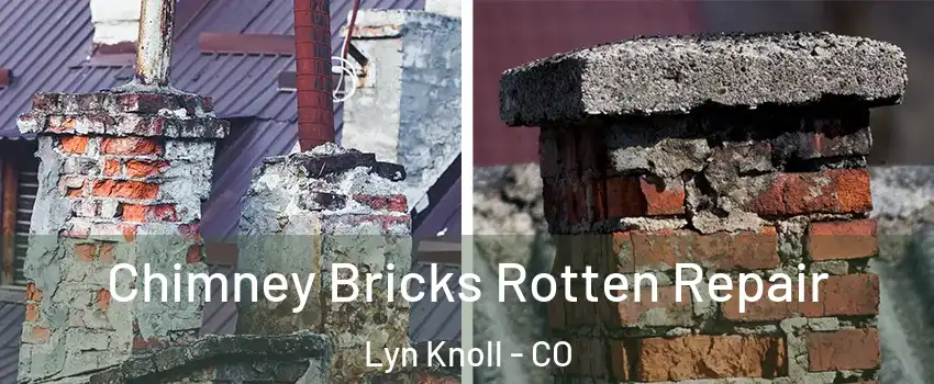 Chimney Bricks Rotten Repair Lyn Knoll - CO