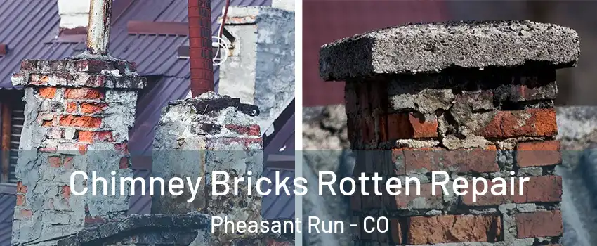 Chimney Bricks Rotten Repair Pheasant Run - CO