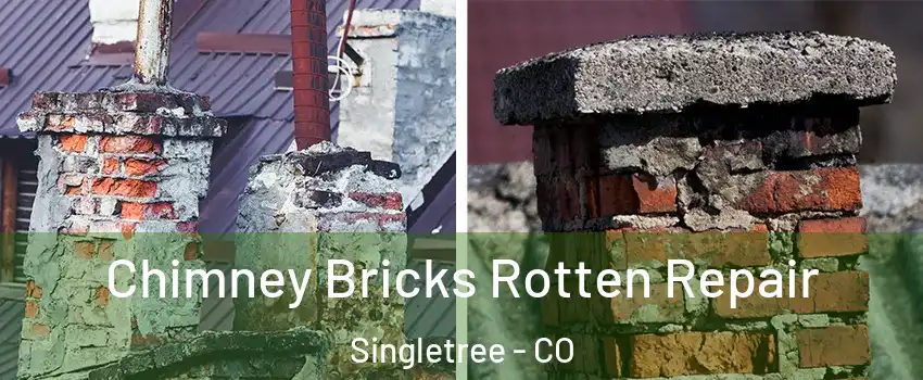 Chimney Bricks Rotten Repair Singletree - CO