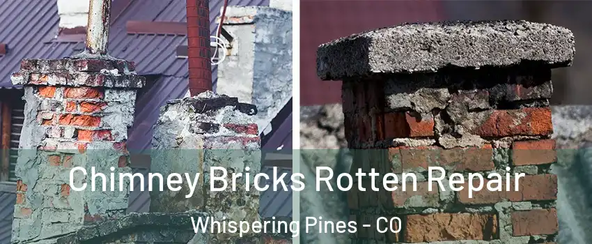 Chimney Bricks Rotten Repair Whispering Pines - CO