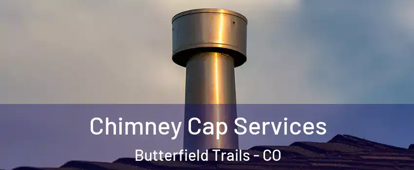 Chimney Cap Services Butterfield Trails - CO