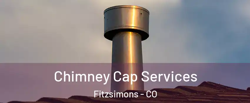 Chimney Cap Services Fitzsimons - CO