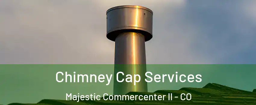 Chimney Cap Services Majestic Commercenter II - CO