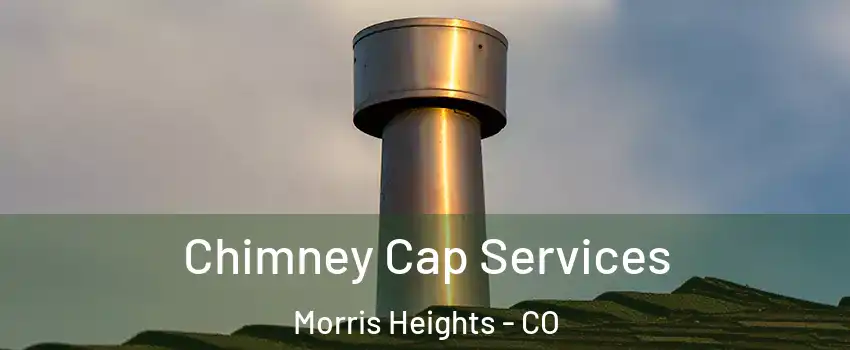 Chimney Cap Services Morris Heights - CO