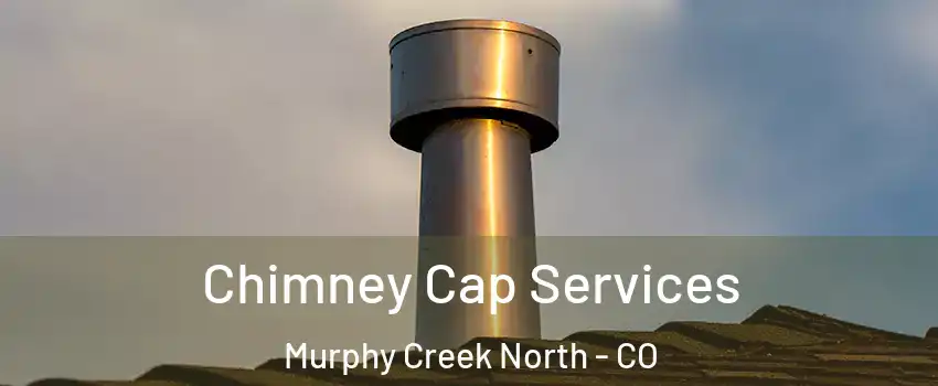 Chimney Cap Services Murphy Creek North - CO