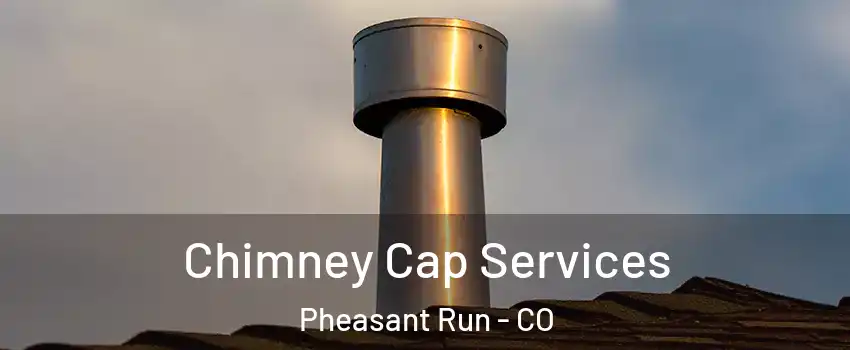 Chimney Cap Services Pheasant Run - CO