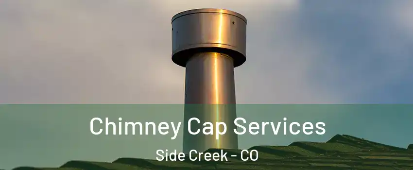 Chimney Cap Services Side Creek - CO