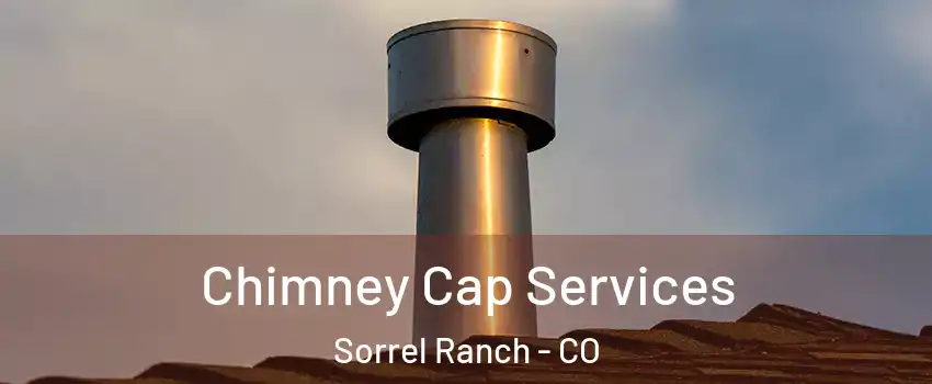 Chimney Cap Services Sorrel Ranch - CO