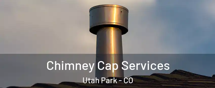 Chimney Cap Services Utah Park - CO