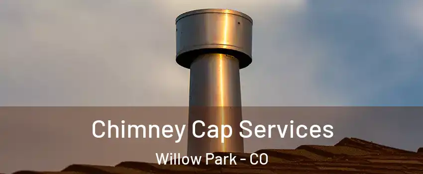 Chimney Cap Services Willow Park - CO