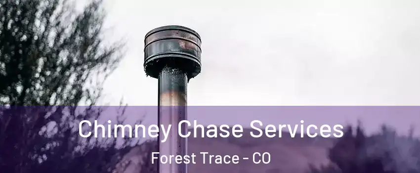 Chimney Chase Services Forest Trace - CO