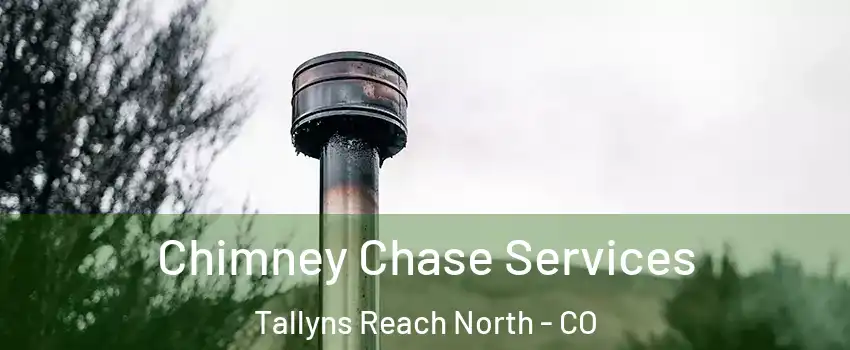 Chimney Chase Services Tallyns Reach North - CO