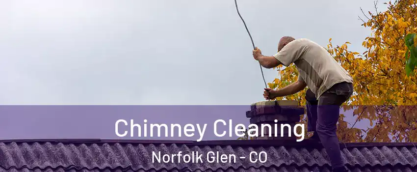 Chimney Cleaning Norfolk Glen - CO