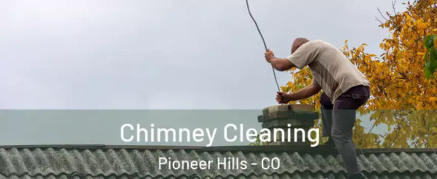 Chimney Cleaning Pioneer Hills - CO