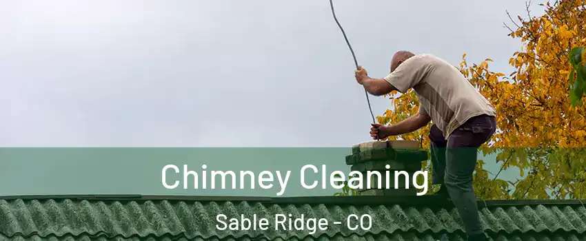 Chimney Cleaning Sable Ridge - CO