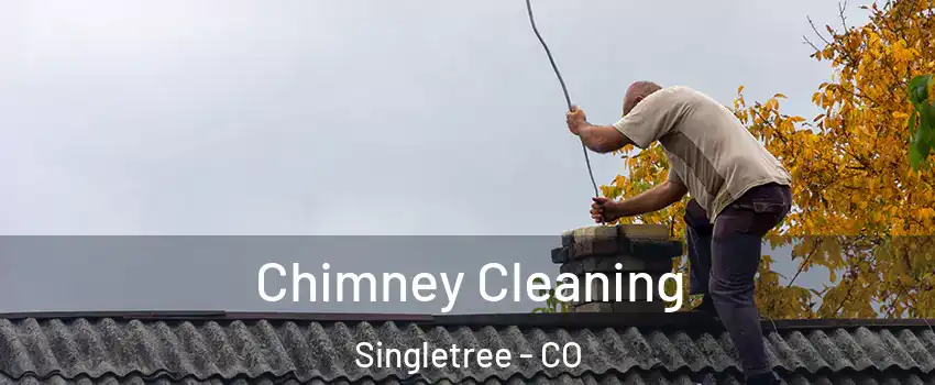 Chimney Cleaning Singletree - CO