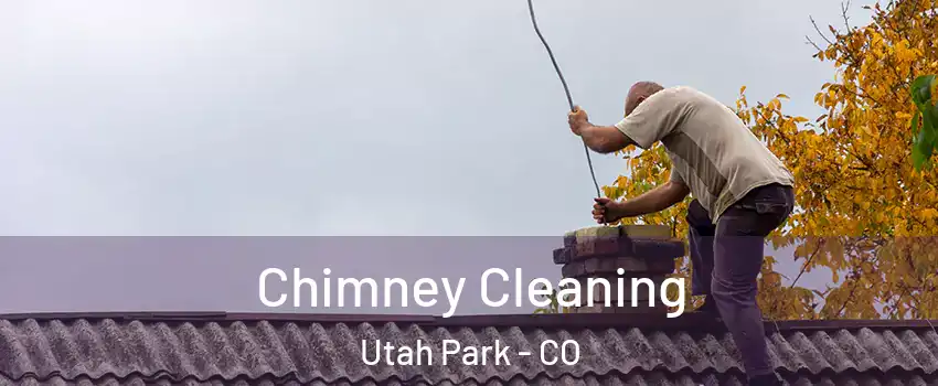 Chimney Cleaning Utah Park - CO