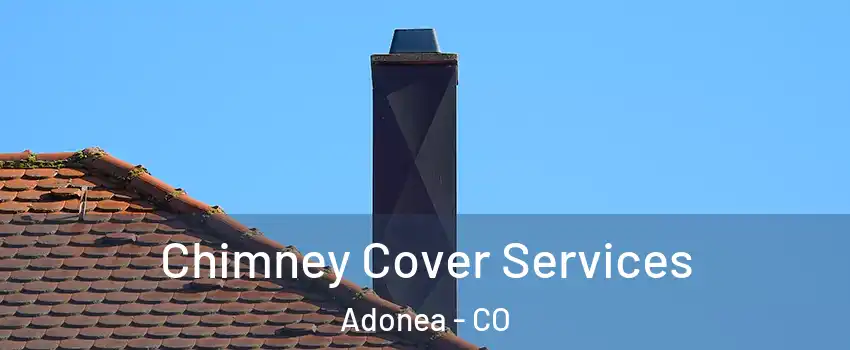 Chimney Cover Services Adonea - CO