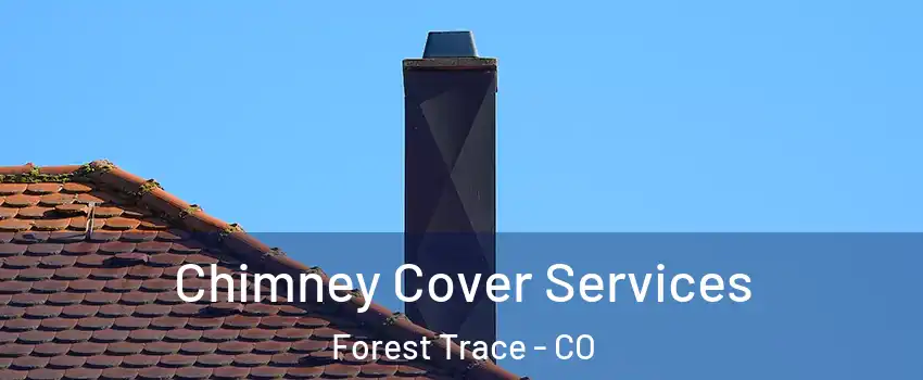 Chimney Cover Services Forest Trace - CO