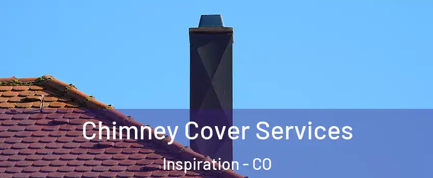 Chimney Cover Services Inspiration - CO