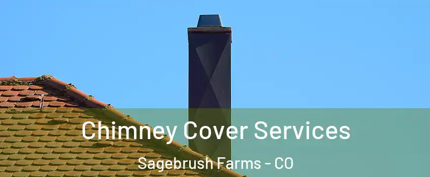 Chimney Cover Services Sagebrush Farms - CO