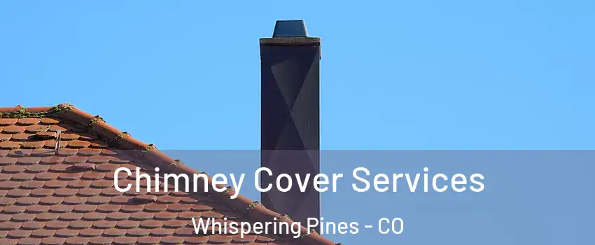 Chimney Cover Services Whispering Pines - CO