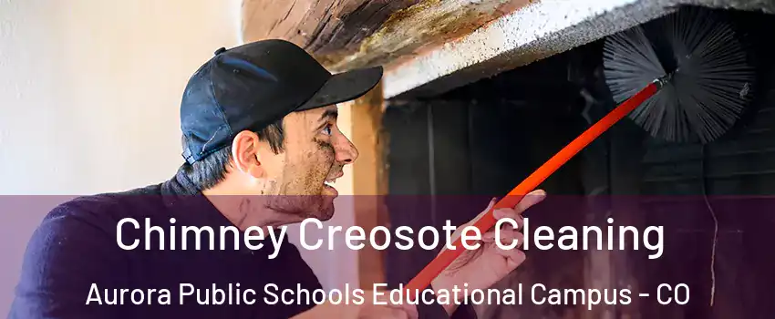 Chimney Creosote Cleaning Aurora Public Schools Educational Campus - CO