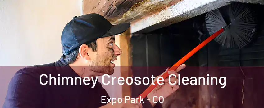 Chimney Creosote Cleaning Expo Park - CO