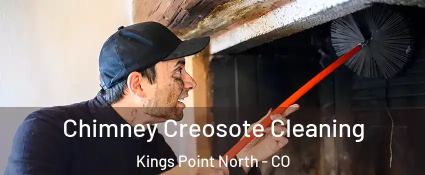 Chimney Creosote Cleaning Kings Point North - CO